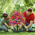 EverBloom | Underhållsfria Trädgårdsblommor