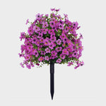 EverBloom | Underhållsfria Trädgårdsblommor