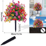 EverBloom | Underhållsfria Trädgårdsblommor